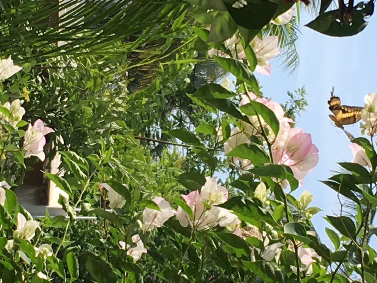 Villa Maria Bed And Breakfast 푸에르토 에스콘디도 외부 사진