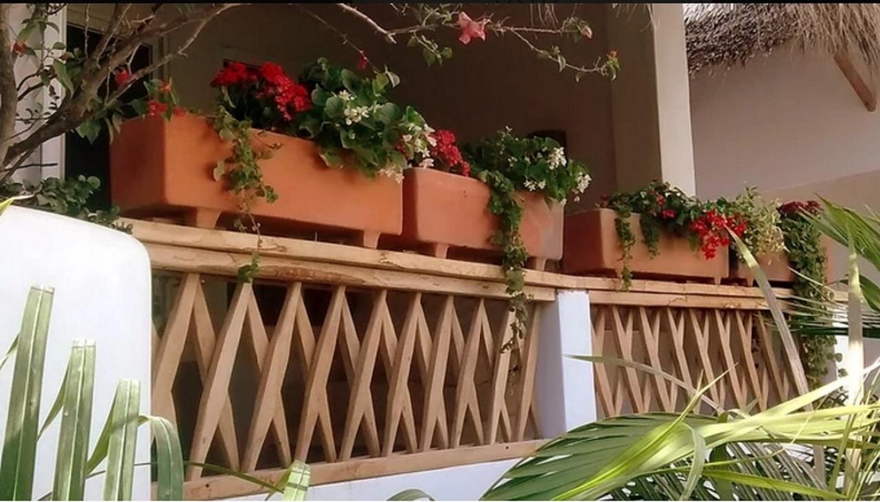 Villa Maria Bed And Breakfast 푸에르토 에스콘디도 외부 사진