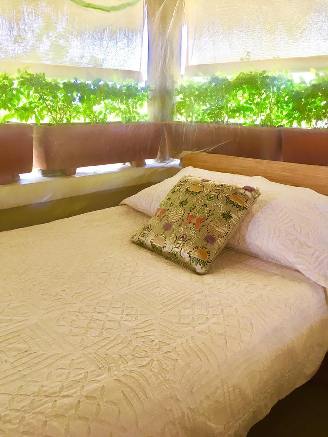 Villa Maria Bed And Breakfast 푸에르토 에스콘디도 외부 사진